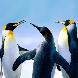 Значок The Penguin
